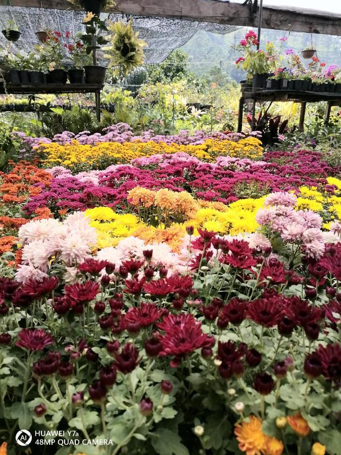 Flower Top Элла Экстерьер фото